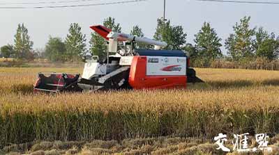 移動(dòng)物聯(lián)網(wǎng)應(yīng)用①｜手機(jī)上種田，無(wú)人化種田！智慧農(nóng)場(chǎng)“智”在哪？